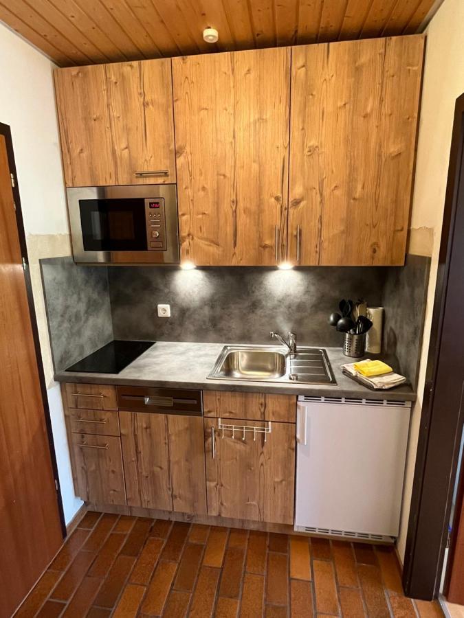 Haus Am Sonnenberg, Todtnauberg, Ferienwohnung 204, Direkt Am Skilift-Skipiste, Naehe Feldberg Екстериор снимка