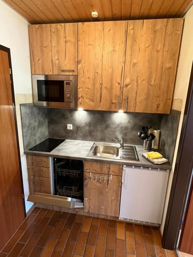 Haus Am Sonnenberg, Todtnauberg, Ferienwohnung 204, Direkt Am Skilift-Skipiste, Naehe Feldberg Екстериор снимка