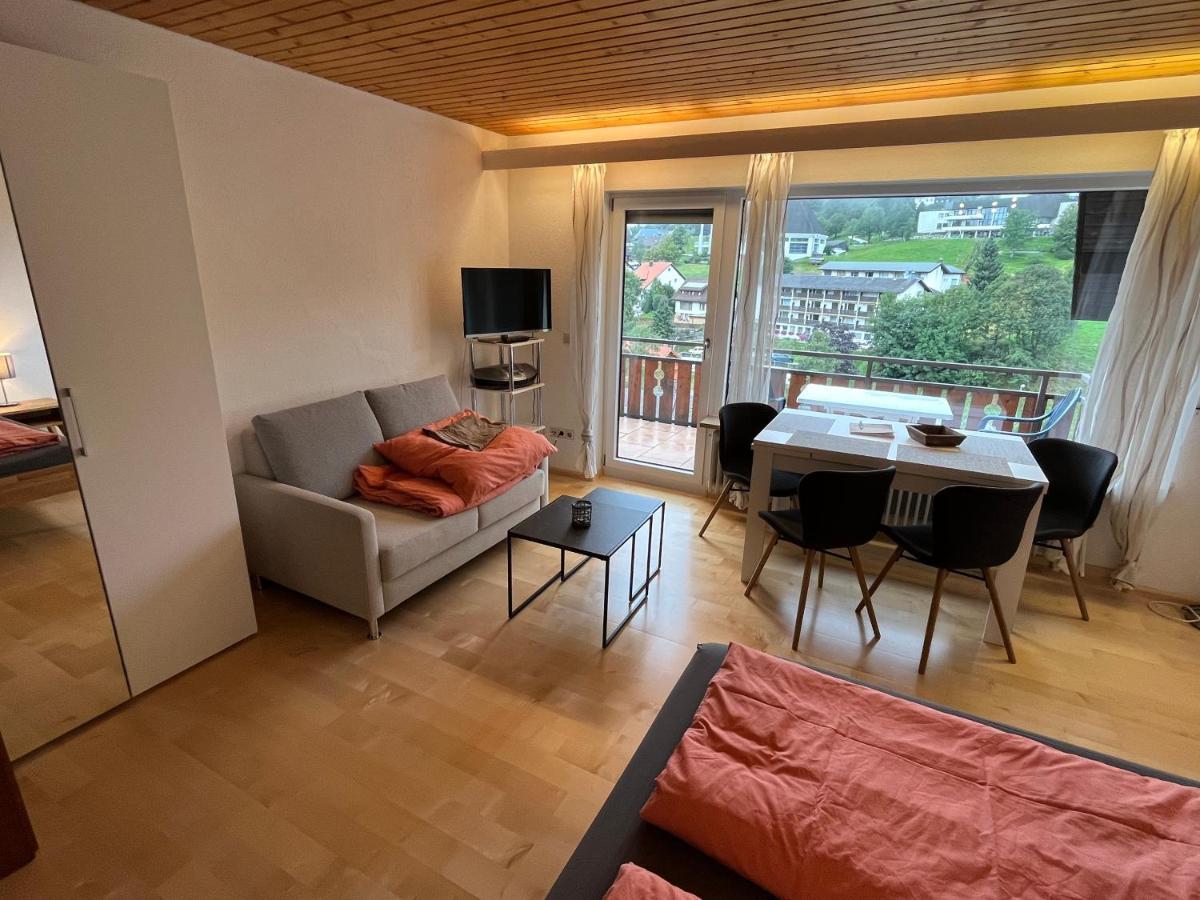 Haus Am Sonnenberg, Todtnauberg, Ferienwohnung 204, Direkt Am Skilift-Skipiste, Naehe Feldberg Екстериор снимка